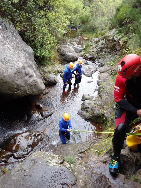 From Funchal: Madeira Island Canyoning for Beginners - Final Thoughts