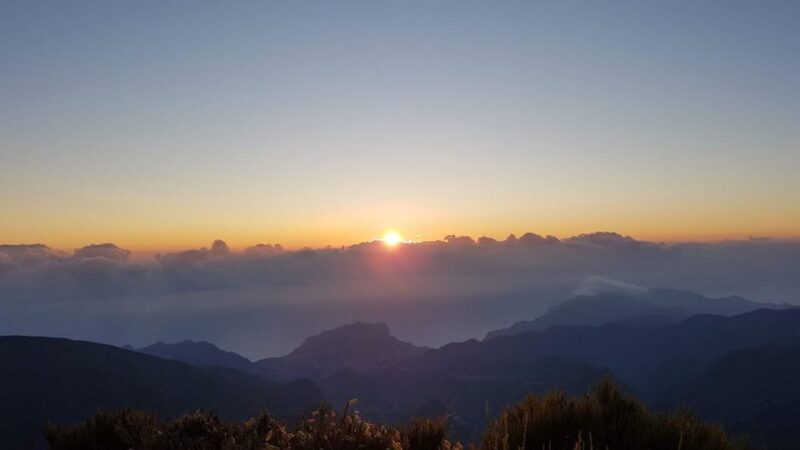 From Funchal: Madeira Island Private Jeep 4x4 Tour - An In-Depth Look at the Madeira Jeep Tour