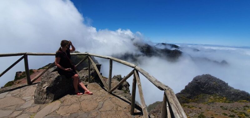 From Funchal: Madeira Island Private Jeep 4x4 Tour - Who Will Love This Tour?