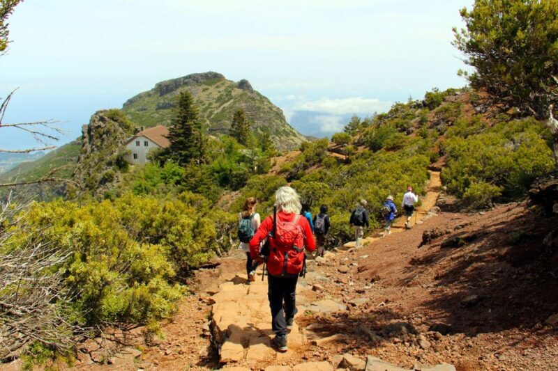 From Funchal: Madeira Peaks Mountain Walk - The Challenges & Considerations