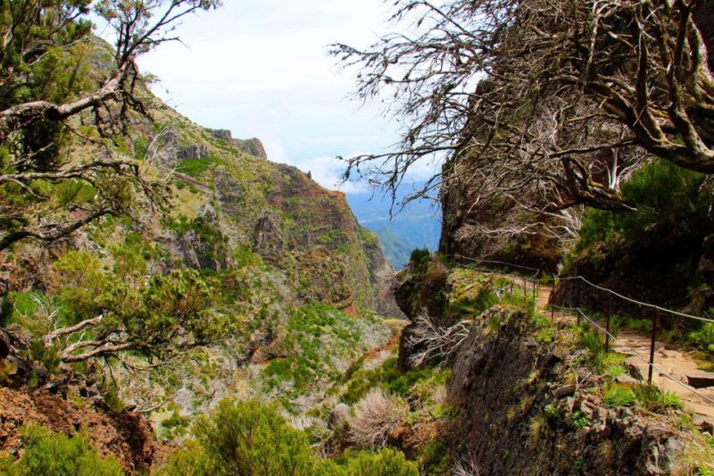 From Funchal: Madeira Peaks Mountain Walk - Authentic Experiences: What Past Travelers Say