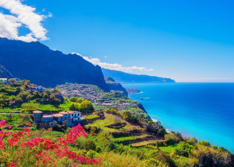 From Funchal: North Coast Day Trip - Who This Tour is Best For
