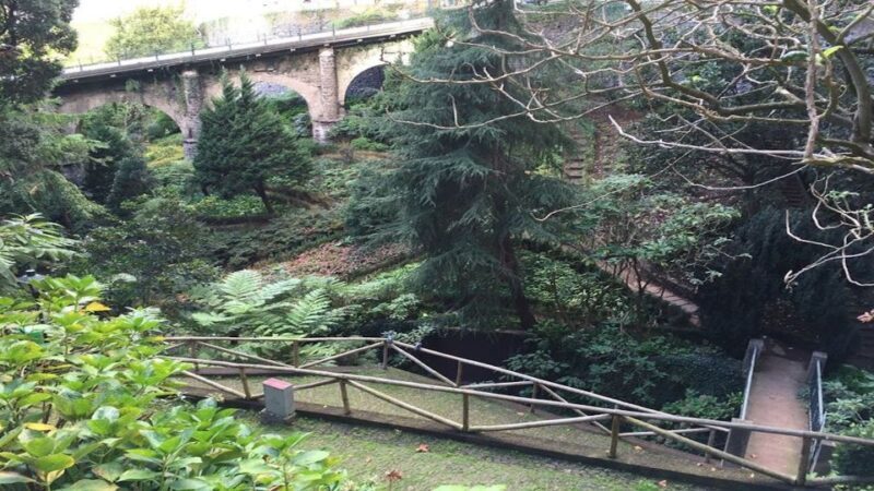 From Funchal: Nuns Valley, Monte and Sleigh Ride Tour - An In-Depth Look at the Tour Experience