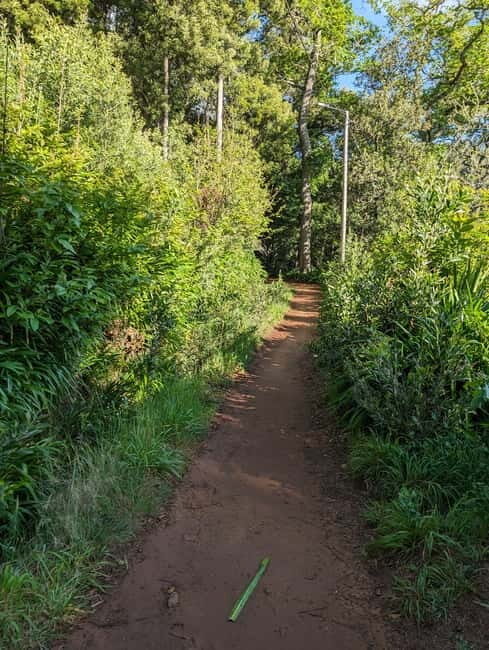 From Funchal: Pico Arieiro Sunrise with Optional Breakfast - The Sum Up