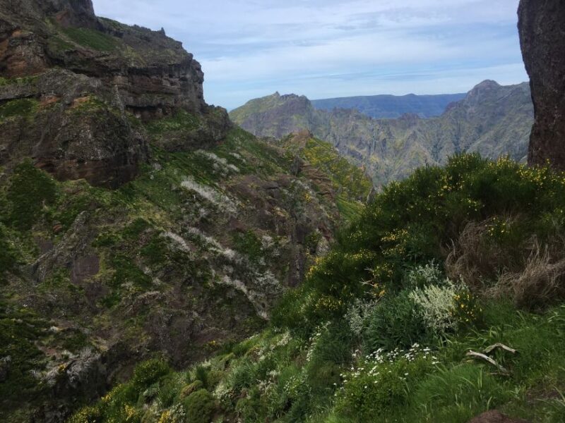 From Funchal: Santana and Pico do Areeiro East Island Tour - Key Points