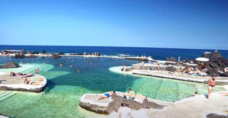 From Funchal: West Madeira Waterfalls and Fanal Forest Tour - An In-Depth Look at the Tour Experience