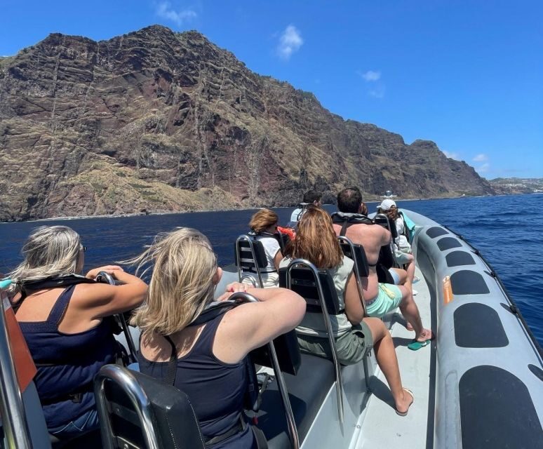 From Funchal: Whale and Dolphin Watching - Introduction: What to Expect from this Whale & Dolphin Tour
