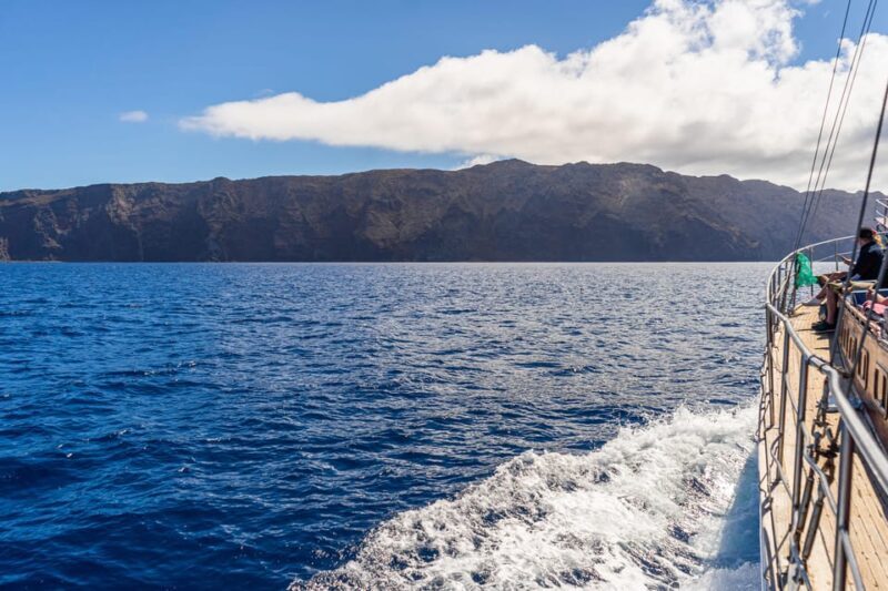 From Funchal: Wooden Boat Excursion to Desertas Island - Value for Money