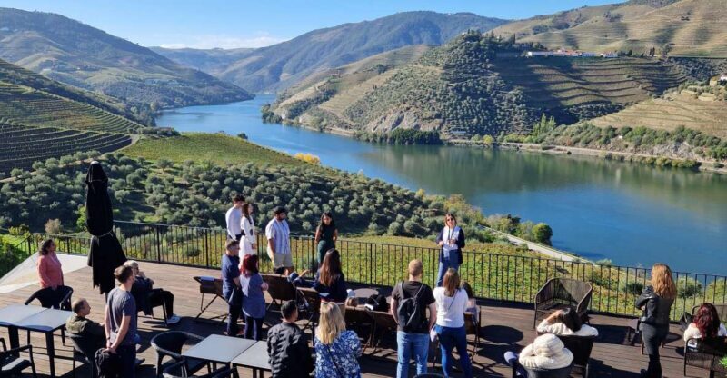 From Gaia Douro Valley Tour Wine Tasting River Cruise Lunch - Who Will Love This Tour?