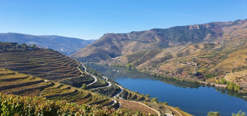 From Gaia Douro Valley Tour Wine Tasting River Cruise Lunch - Final Thoughts: Is It Worth It?