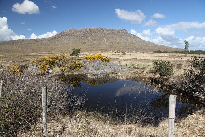 From Galway: Guided tour of Connemara with 3 hour stop in Kylemore Abbey - The Route and What to Expect