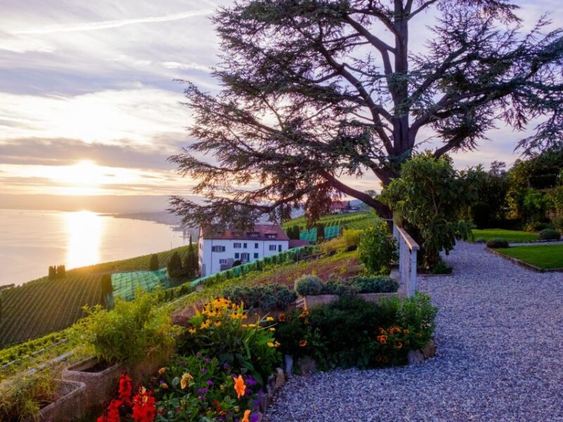 From Geneva: Swiss Riviera Private Tour - Who Would Love This Tour?