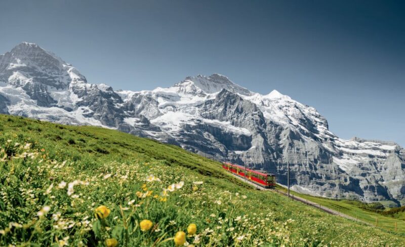 From Geneva to Interlaken - Visiting Jungfrau or Schilthorn — What’s the Difference?