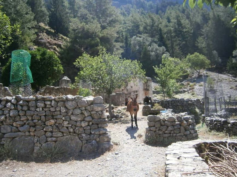 From Georgioupolis: Roundtrip Transfer to Samaria Gorge - A Deep Dive into the Samaria Gorge Tour