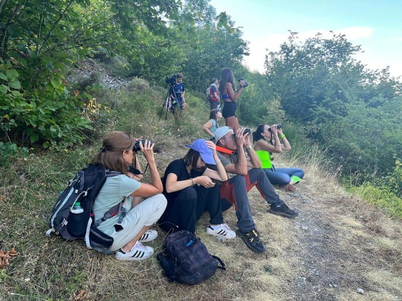 From Gijón, Oviedo or Pola de Somiedo: Brown Bear Spotting - An In-Depth Review of the Brown Bear Spotting Tour