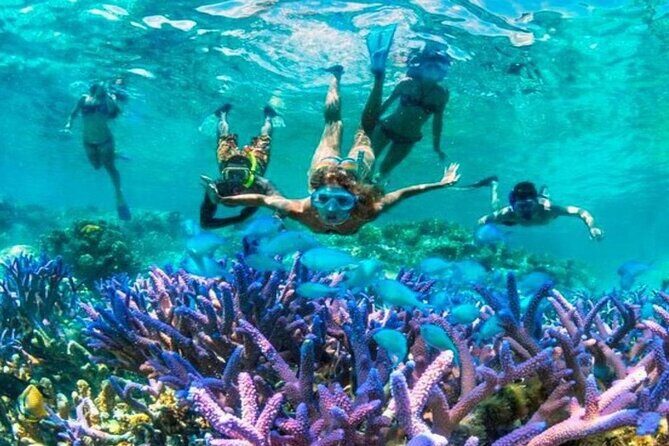 From Gili Trawangan: Island Hopping Snorkeling Trip - Key Points