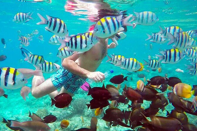 From Gili Trawangan: Island Hopping Snorkeling Trip - What to Expect from This Island Hopping Snorkeling Tour