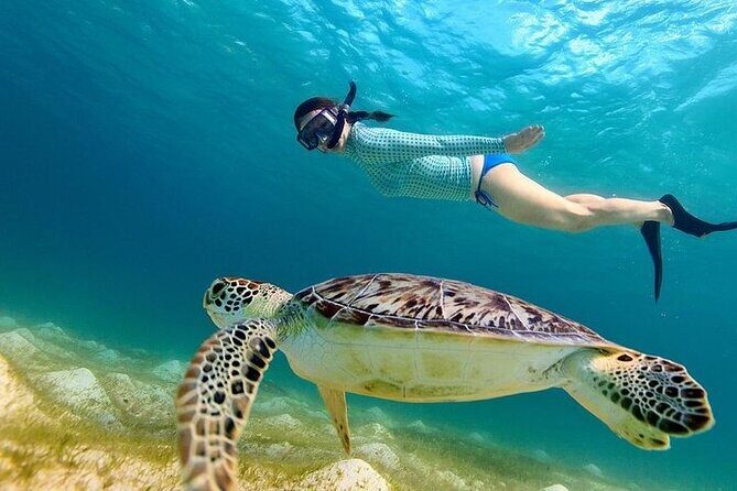 From Gili Trawangan: Island Hopping Snorkeling Trip - The Sum Up