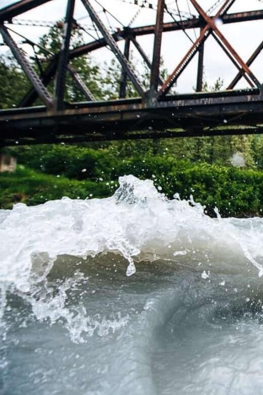 From Girdwood or Anchorage: Spencer Glacier Float & Railroad - Introduction