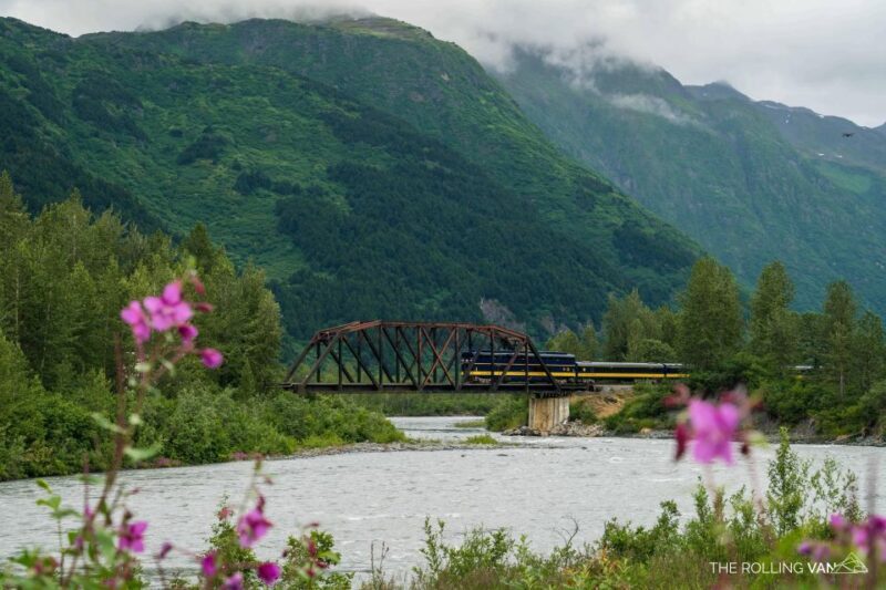 From Girdwood or Anchorage: Spencer Glacier Float & Railroad - Price and Value