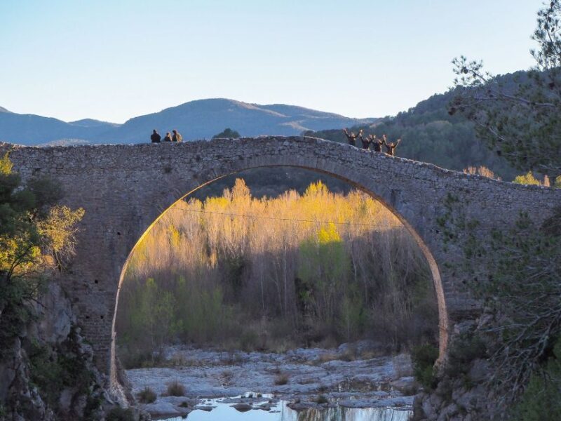From Girona: Besalú, Banyoles & Historical Garrotxa Day Trip - A Closer Look at the Itinerary