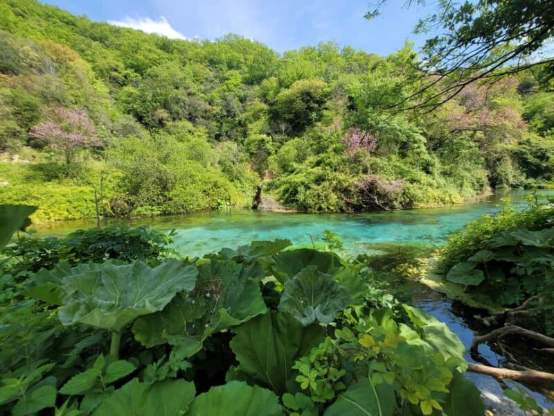 From Gjirokastër: Blue Eye, Butrint, and Saranda Tour - Exploring Butrint: An Archaeological Treasure