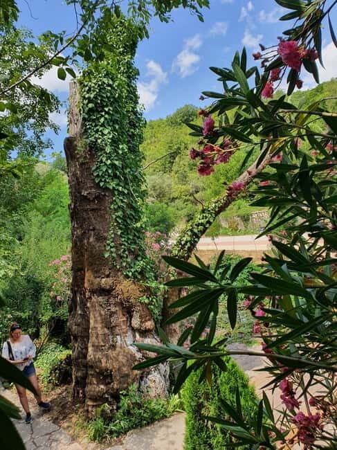 From Gjirokastër: Blue Eye & Hadrianopoli Guided Tour - Who Will Love This Tour?