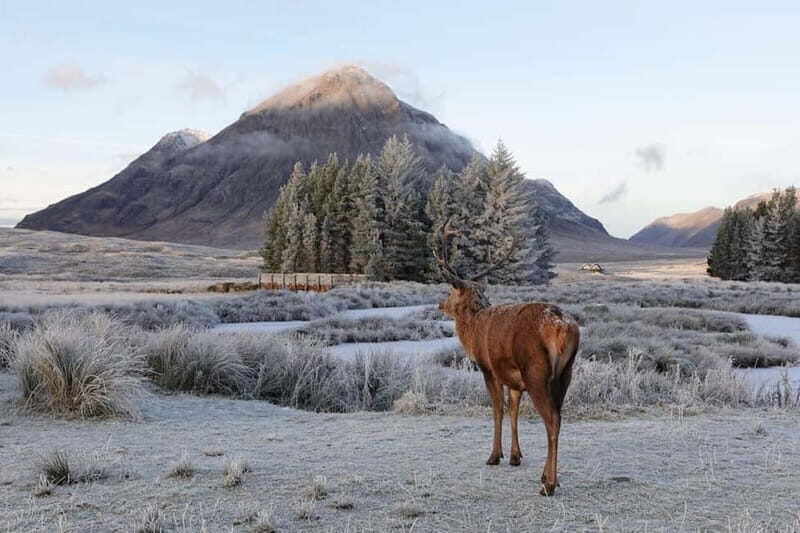 From Glasgow: Oban, Glencoe & Highlands Day Tour - Exploring the Route and Stops: What You’ll Experience
