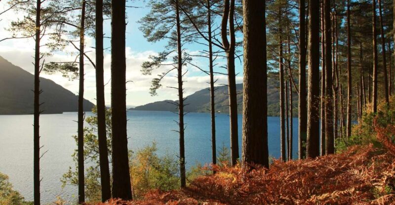 From Glasgow: Stirling Castle & Loch Lomond Tour with Cruise - A Deep Dive into the Highland Adventure