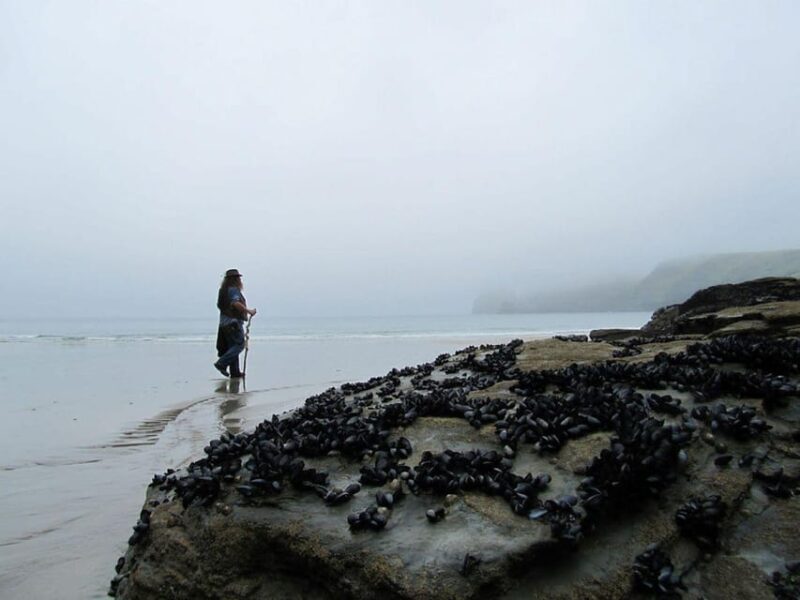 From Glastonbury: 2-Day Tintagel, Boscastle & Dartmoor Tour - Who Will Love This Tour?