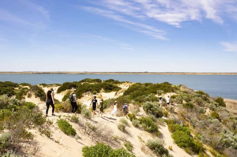 From Goolwa: Full Day Coorong Experience - The Sum Up