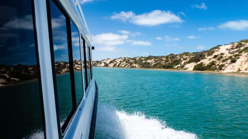 From Goolwa: Half-Day Coorong Experience - Who Should Consider This Tour?