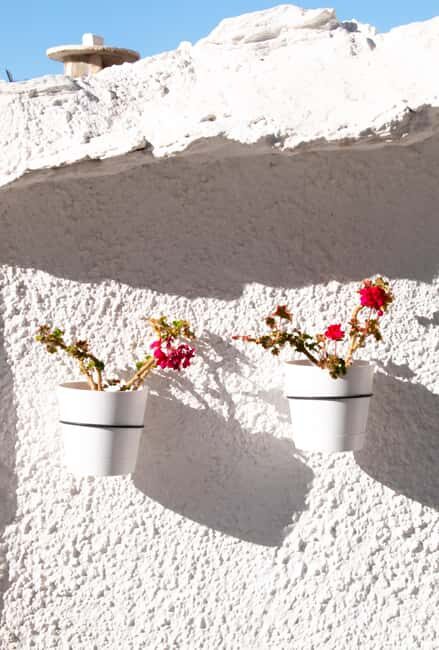 From Granada: Alpujarra Region Full Day Tour - Authentic Experiences and Real Insights from Reviews