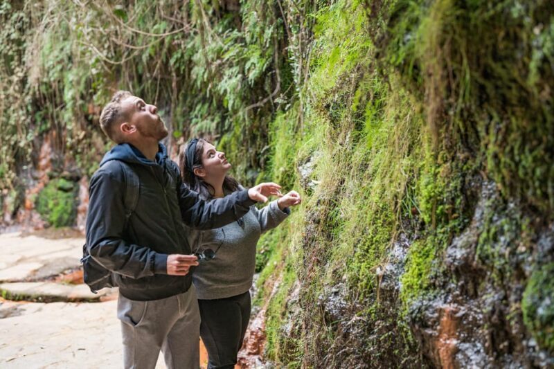 From Granada: Alpujarra Villages Guided Day Tour - Who Should Consider This Tour?