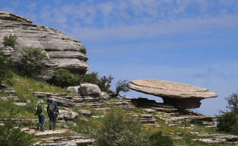 From Granada: Lobo Parque and Torcal de Antequera, Adventure Excursion - Exploring Andalusia’s Hidden Gems: Lobo Parque and Torcal de Antequera Tour