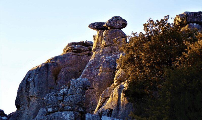 From Granada: Lobo Parque and Torcal de Antequera, Adventure Excursion - The Bottom Line: Who Will Love This Tour?