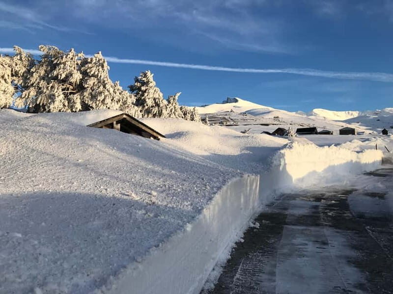 From Granada: Sierra Nevada Safari up to 2500 meters high - Price and Value: Is It Worth It?