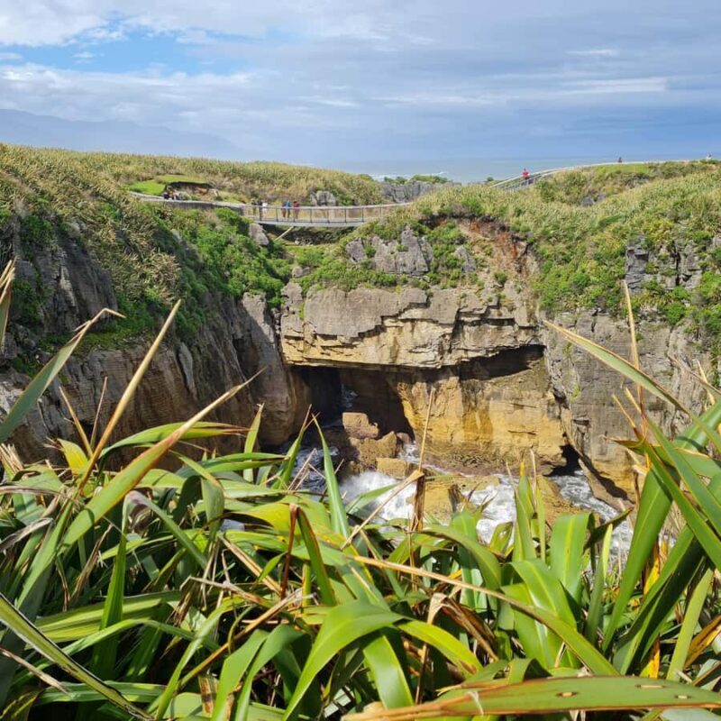 From Greymouth: Highlights West Coast Day Tour - Tauranga Bay Seal Colony
