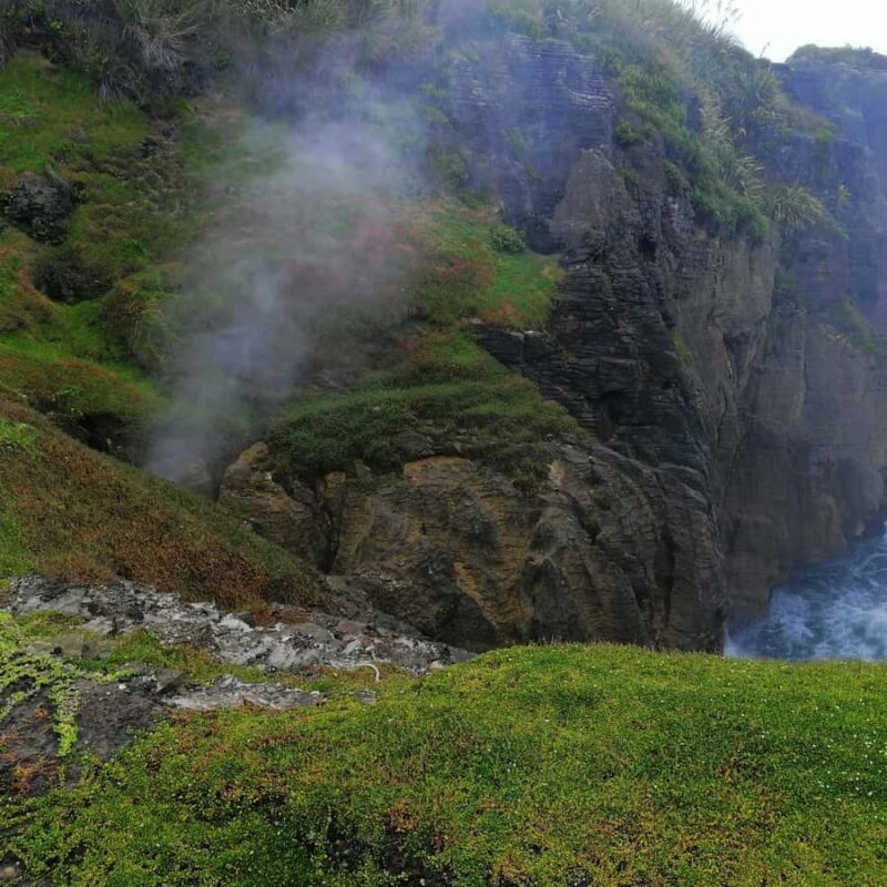 From Greymouth: Highlights West Coast Day Tour - Lunch & Craft Beer Tasting