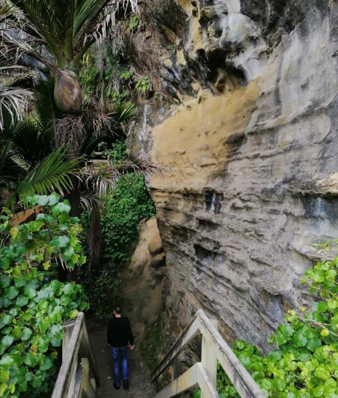 From Greymouth: Highlights West Coast Day Tour - Reefton: Town & Distillery