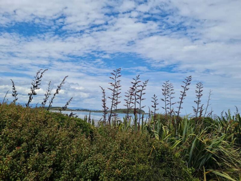 From Greymouth: Highlights West Coast Day Tour - Return to Greymouth