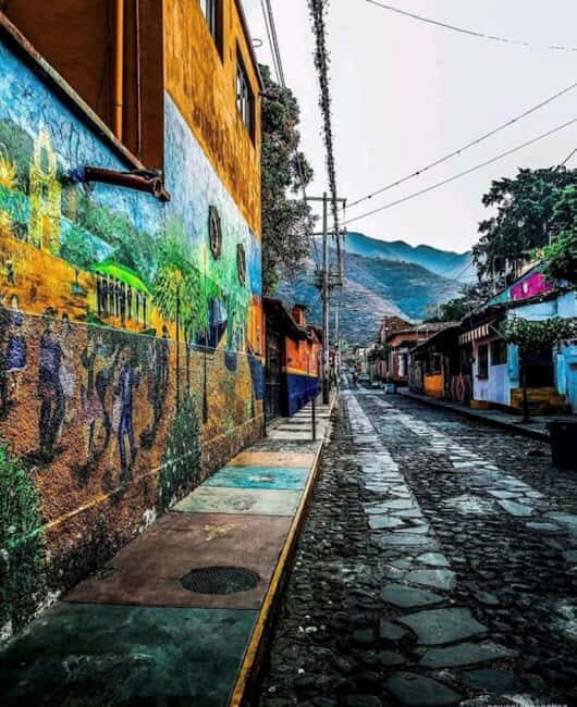 From Guadalajara: Chapala & Ajijic Private Full Day Tour - Who Is This Tour Best For?