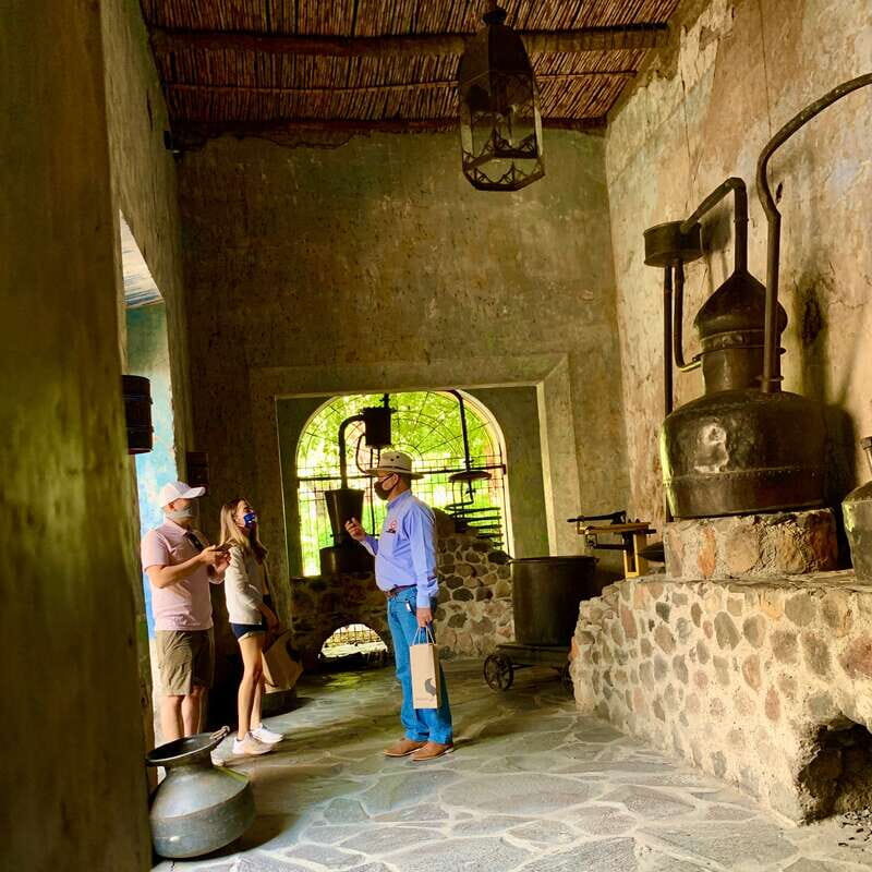 From Guadalajara: Pyramids & Jose Cuervo Tequila Tour - Authentic Moments and Genuine Feedback