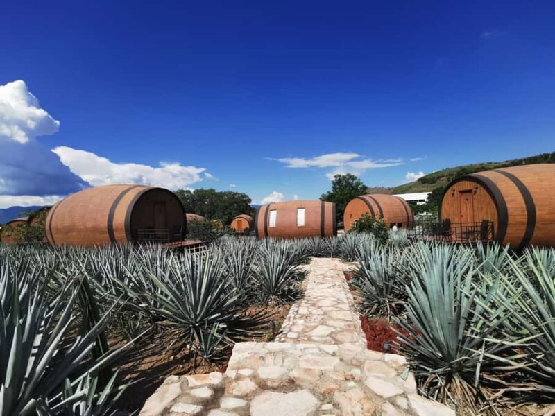 From Guadalajara: Tequila Tour: Tasting Experience & Lunch - Authenticity & Education: What Travelers Say