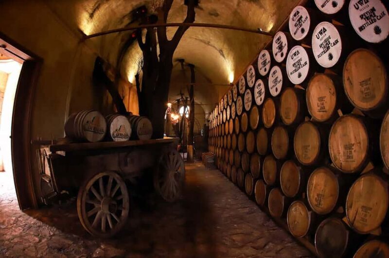 From Guadalajara: Tequila Tour: Tasting Experience & Lunch - Practical Details & Tips