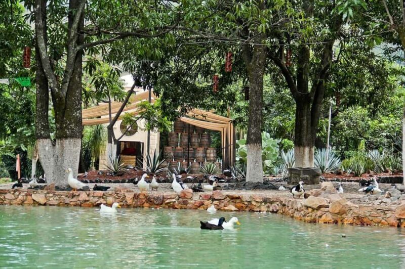 From Guadalajara: Tequila Tour: Tasting Experience & Lunch - FAQ