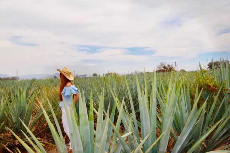 From Guadalajara: Tequila Town and Cantarito Making Tour - FAQs