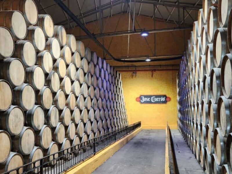 From Guadalajara to Cuervo. Worlds Largest Tequila Factory - The Reality: Pros and Cons