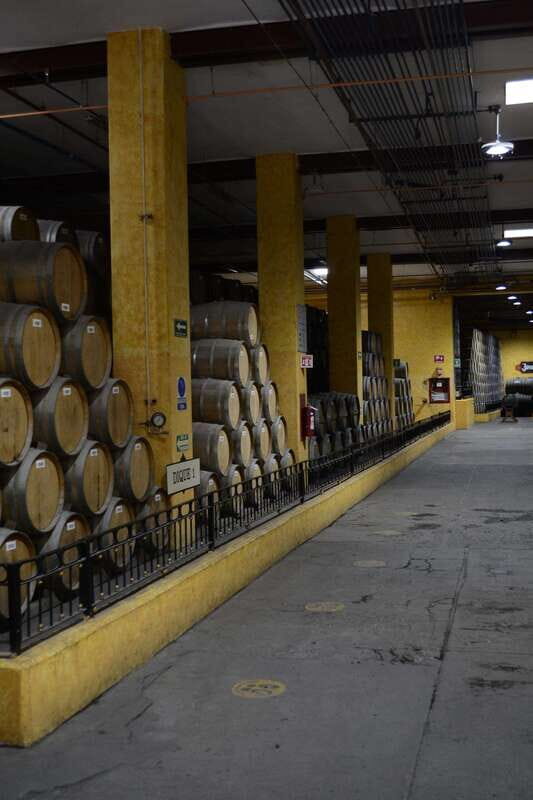 From Guadalajara: Town of Tequila & Jose Cuervo Factory Tour - Analyzing the Cost and Value