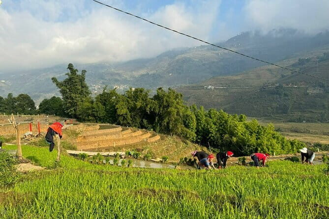 From Hà Ni ; Mu Cang Chai 3 Days 2 Nights By Car and Trekking - The Sum Up